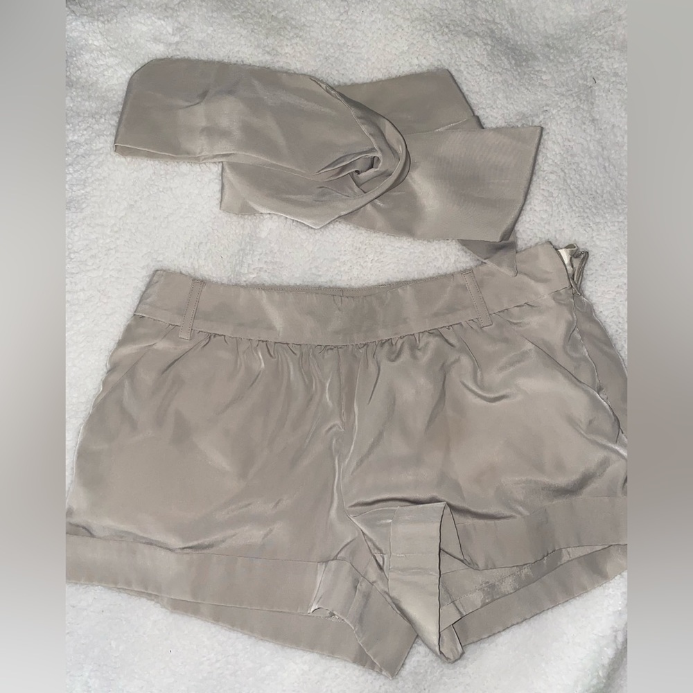 Elegant Faux Silk Shorts